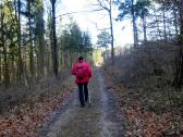  Wanderroute am Schiffberg 