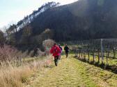  Blick auf die Wanderstrecke 