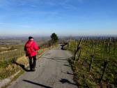  Blick auf die Wanderstrecke 