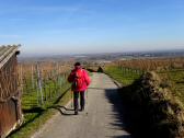  Wanderroute nach Wagram ob der Traisen 