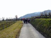  Wanderroute nach Nudorf ob der Traisen 