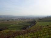  schner Fernblick ins untere Traisental 