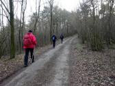  Wanderroute durch den Wald der Galgenleiten 