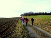 Blick auf die Wanderroute auf dem Jakobsweg nach Maria Elend 