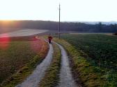  Blick auf die Wanderstrecke 