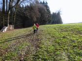  Wanderroute nach Thalling 