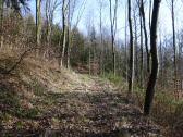  Wanderroute bergan auf dem Steinberg 