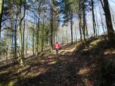  Wanderroute bergan auf dem Steinberg 