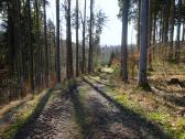  Blick auf die Wanderstrecke 