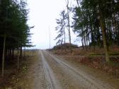 Blick auf die Wanderstrecke zur Anhhe "Auf der Hlben" 