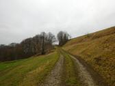 Blick auf die Wanderstrecke leicht bergan auf das Kogelfeld