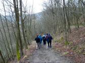  Wanderroute bergab nach Hardegg 