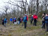  Marathonis oberhalb der Hardegger Warte 