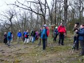  Marathonis oberhalb der Hardegger Warte 