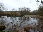  Blick zu einen kleinen Weiher 