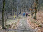  Blick auf die Wanderstrecke 