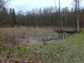  Blick zu einem kleinen Weiher 