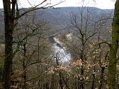 Fernblick zur Dyje (Thaya) mit dem 1. Steg (Lipinsk lvka)