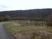  Weinbau in der Region Sobes - Vinice Sobes