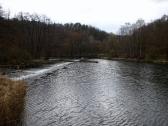  Blick vom Steg auf die Dyje (Thaya) flussabwrts 