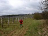 Wanderroute entlang des Weinbaugebietes Hnanice - Hnanice-Vinice