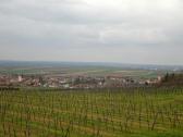 schner Fernblick nach Mitterretzbach und Oberretzbach 