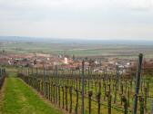 Fernblick nach Mitterretzbach mit der kath. Pfarrkirche heilige Margaretha