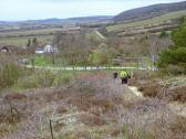  Wanderroute bergab nach Oberretzbach 