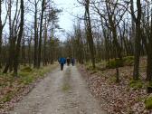  Wanderroute durch den Fladnitzer Wald zum Galgen 