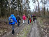  Wanderroute durch den Fladnitzer Wald zum Galgen 