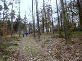  Wanderroute beim "Galgen" 