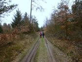  Wanderroute durch den Fladnitzer Wald 