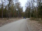  Blick auf die Wanderstrecke im Thayarevier 