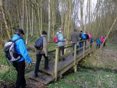  Marathonis berqueren den Merkersdorfer Bach 