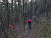  Wanderweg bergab nach Gars/Kamp 