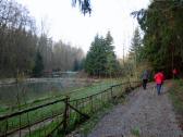  nochmals ein Teich im Hirschbachtal 