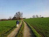  Blick auf die Wanderstrecke nach Wanzenau 