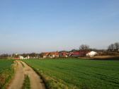  Blick auf die Wanderstrecke bei Wanzenau 