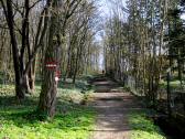  Wanderweg zur Elisabethkapelle 