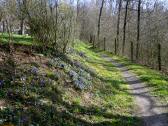  Wanderroute auf einem schnen Wanderweg 