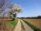  Wanderroute nach Mhlfeld 