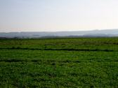  der weite Fernblick nach Maria Dreieichen 