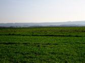  der weite Fernblick nach Maria Dreieichen 