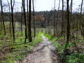  Blick auf die Wanderstrecke 