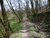  Wanderweg entlang des ehemaligen Mhlbachs 