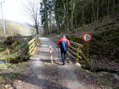 Wanderweg nach Kamegg mit der Brcke ber den Gansbach 