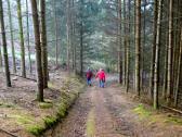  Blick auf die Wanderstrecke 