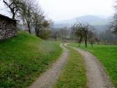  Blick auf die Wanderstrecke bei Oberschwandt 