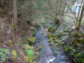  Blick auf den Kronbach bei der Mhle 