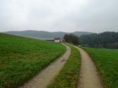  Blick auf die Wanderstrecke Richtung Lengauer 